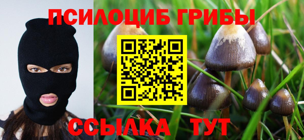 Галлюциногенные грибы MAGIC MUSHROOMS  Вход с VPN  Астрахань  Галлюциногенные грибы мицелий 